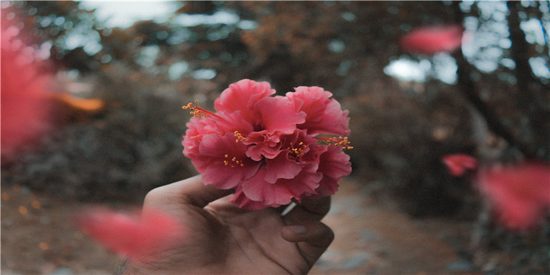 双胞胎姐妹花,飒