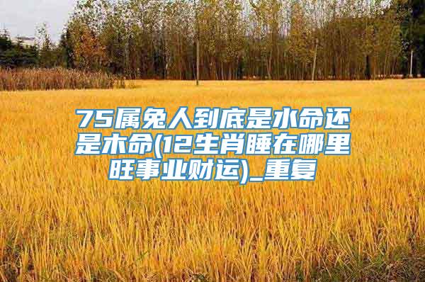 75属兔人到底是水命还是木命(12生肖睡在哪里旺事业财运)_重复