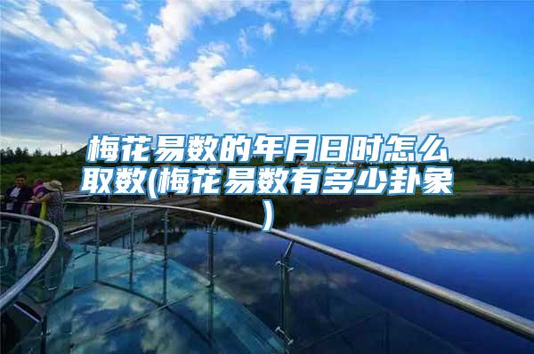梅花易数的年月日时怎么取数(梅花易数有多少卦象)