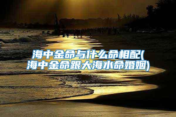 海中金命与什么命相配(海中金命跟大海水命婚姻)