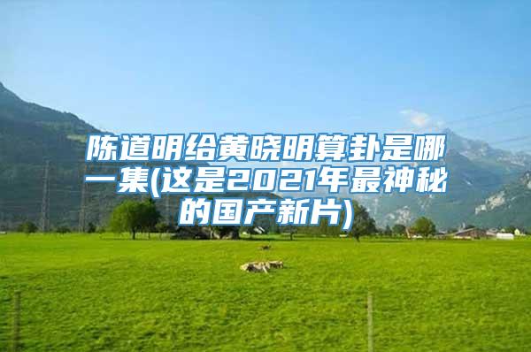 陈道明给黄晓明算卦是哪一集(这是2021年最神秘的国产新片)