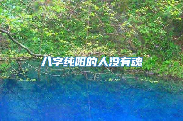 八字纯阳的人没有魂