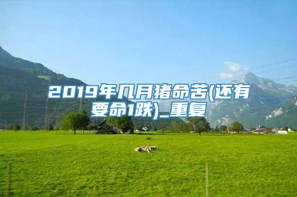 2019年几月猪命苦(还有要命1跌)_重复