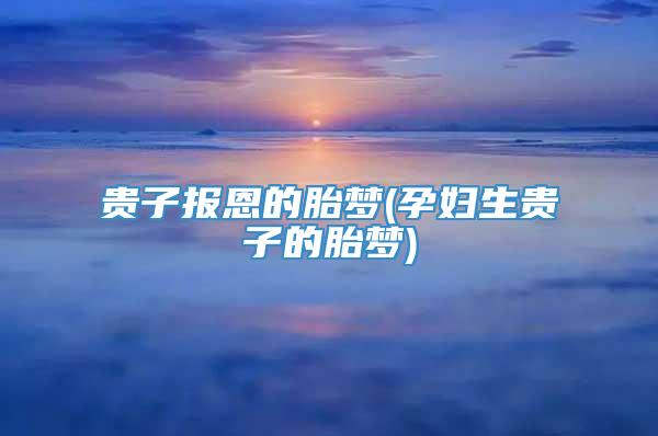 贵子报恩的胎梦(孕妇生贵子的胎梦)