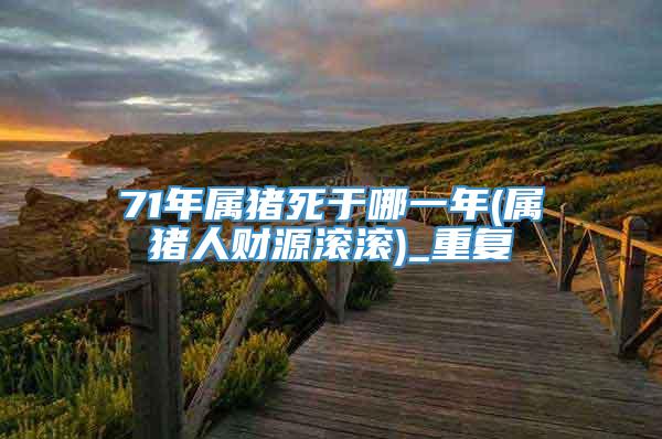 71年属猪死于哪一年(属猪人财源滚滚)_重复