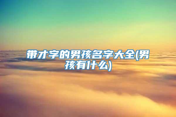 带才字的男孩名字大全(男孩有什么)