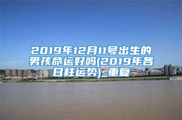 2019年12月11号出生的男孩命运好吗(2019年各日柱运势)_重复
