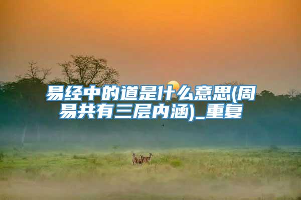 易经中的道是什么意思(周易共有三层内涵)_重复