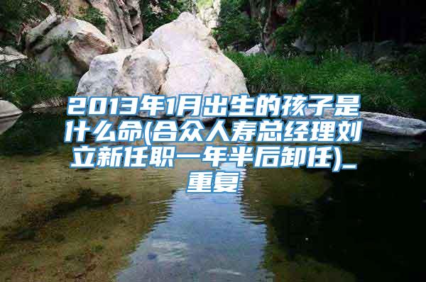 2013年1月出生的孩子是什么命(合众人寿总经理刘立新任职一年半后卸任)_重复