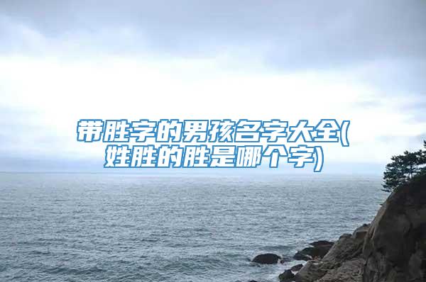 带胜字的男孩名字大全(姓胜的胜是哪个字)