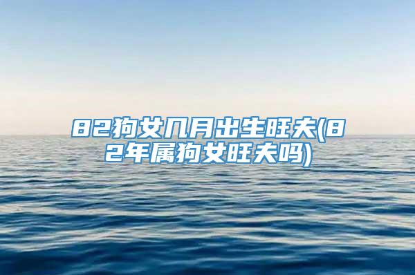 82狗女几月出生旺夫(82年属狗女旺夫吗)