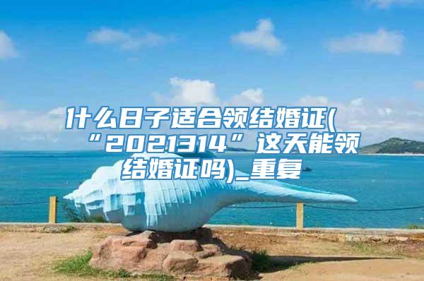 什么日子适合领结婚证(“2021314”这天能领结婚证吗)_重复