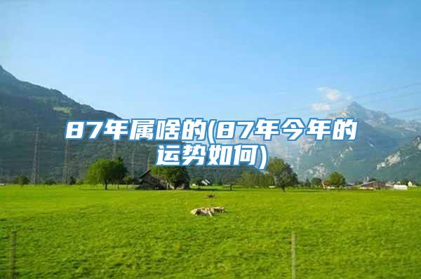 87年属啥的(87年今年的运势如何)