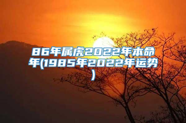 86年属虎2022年本命年(1985年2022年运势)