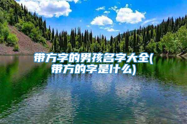 带方字的男孩名字大全(带方的字是什么)