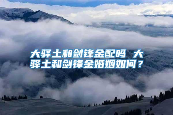 大驿土和剑锋金配吗 大驿土和剑锋金婚姻如何？