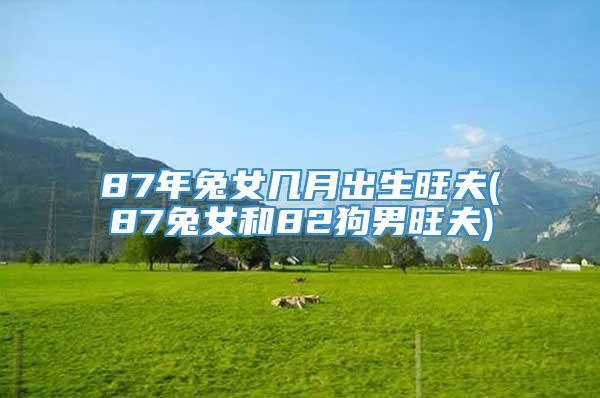 87年兔女几月出生旺夫(87兔女和82狗男旺夫)
