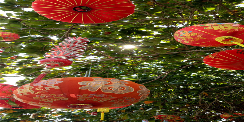 火地晋卦 火地晋卦