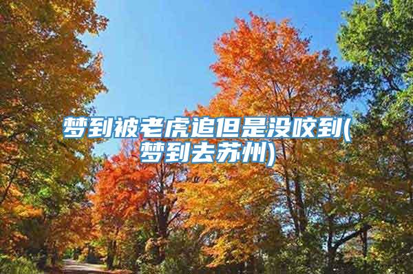 梦到被老虎追但是没咬到(梦到去苏州)