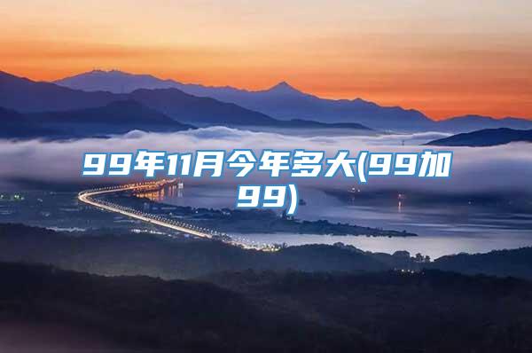 99年11月今年多大(99加99)