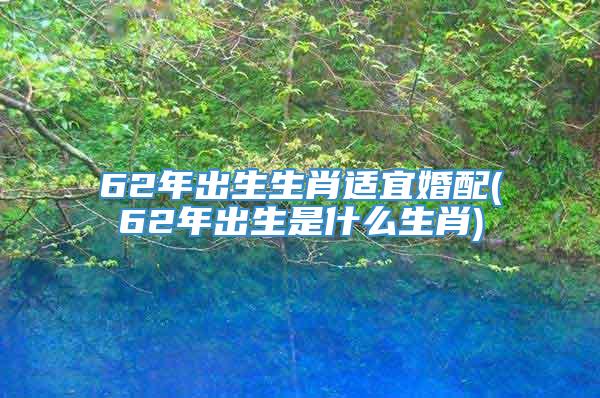 62年出生生肖适宜婚配(62年出生是什么生肖)