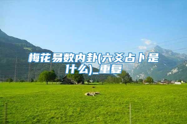 梅花易数内卦(六爻占卜是什么)_重复