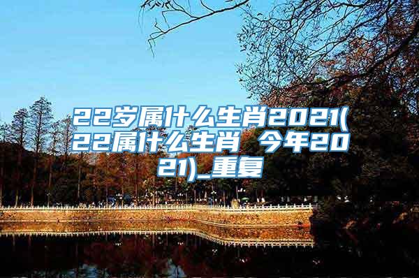 22岁属什么生肖2021(22属什么生肖 今年2021)_重复