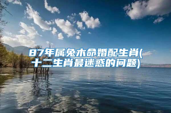 87年属兔木命婚配生肖(十二生肖最迷惑的问题)