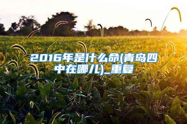 2016年是什么命(青岛四中在哪儿)_重复