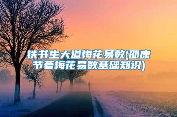 铁书生大道梅花易数(邵康节著梅花易数基础知识)
