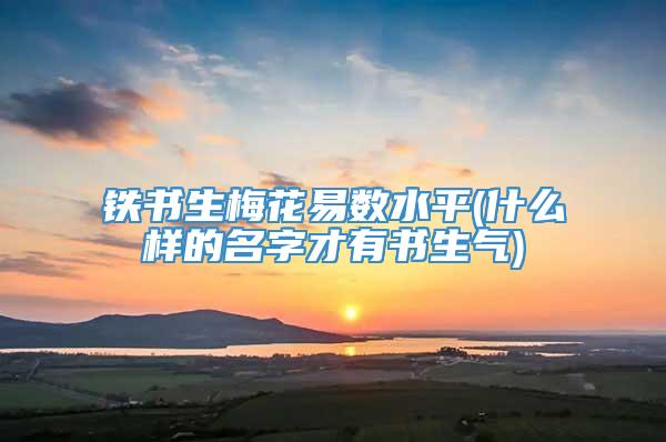 铁书生梅花易数水平(什么样的名字才有书生气)