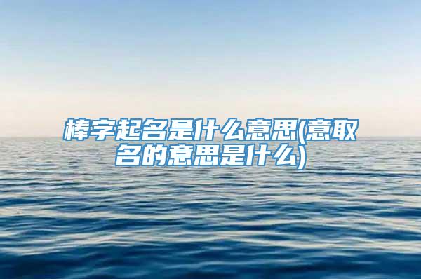 棒字起名是什么意思(意取名的意思是什么)