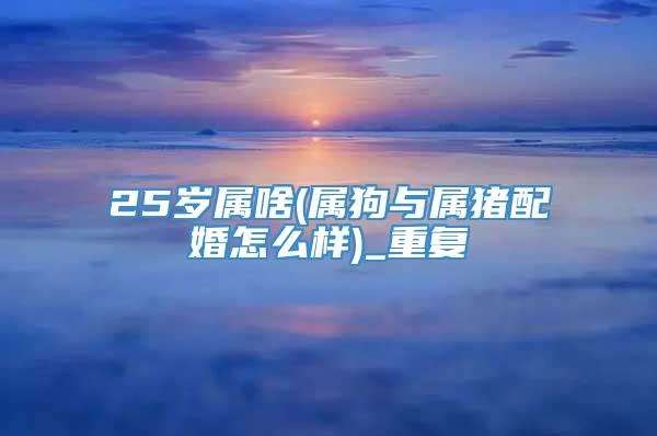 25岁属啥(属狗与属猪配婚怎么样)_重复