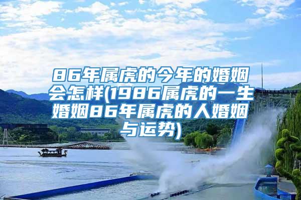 86年属虎的今年的婚姻会怎样(1986属虎的一生婚姻86年属虎的人婚姻与运势)