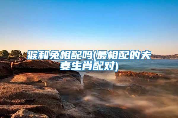 猴和兔相配吗(最相配的夫妻生肖配对)