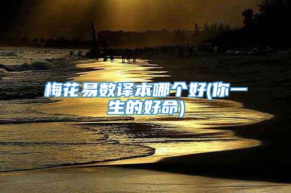 梅花易数译本哪个好(你一生的好命)