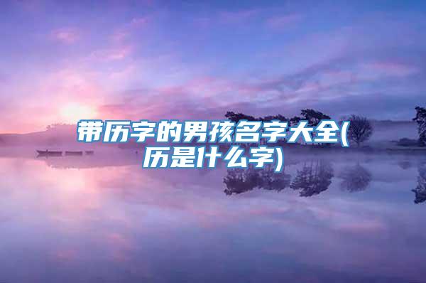 带历字的男孩名字大全(历是什么字)