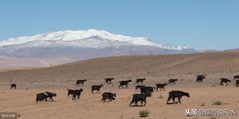 玄空风水术为何是最玄秘最深奥也最灵验的风水术？看看就知道了