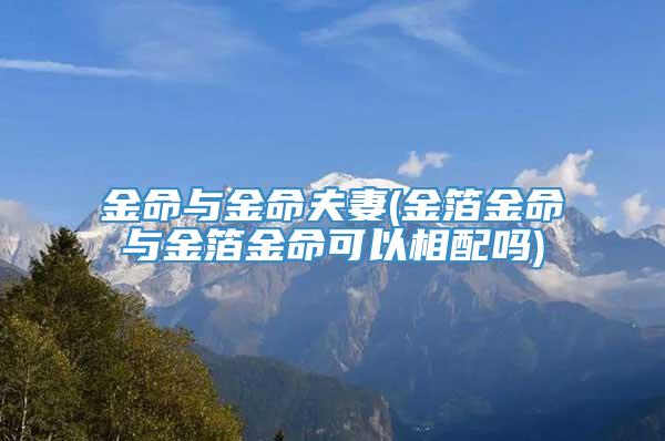 金命与金命夫妻(金箔金命与金箔金命可以相配吗)