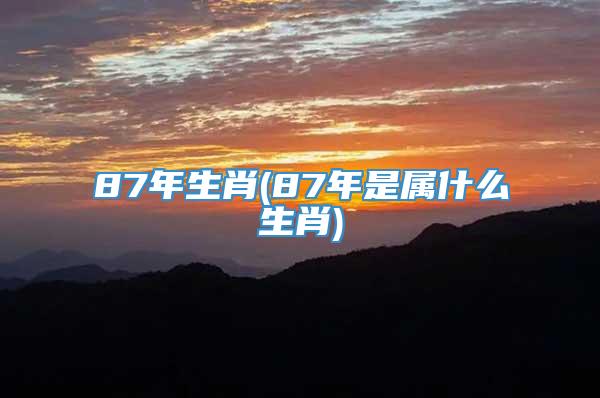 87年生肖(87年是属什么生肖)