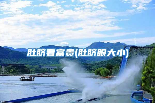 肚脐看富贵(肚脐眼大小)