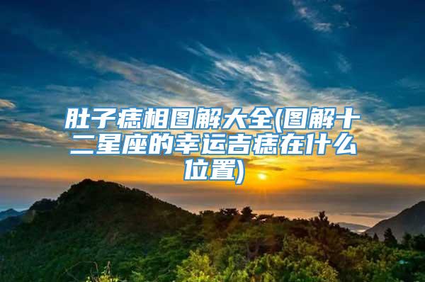 肚子痣相图解大全(图解十二星座的幸运吉痣在什么位置)