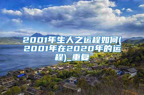 2001年生人之运程如何(2001年在2020年的运程)_重复