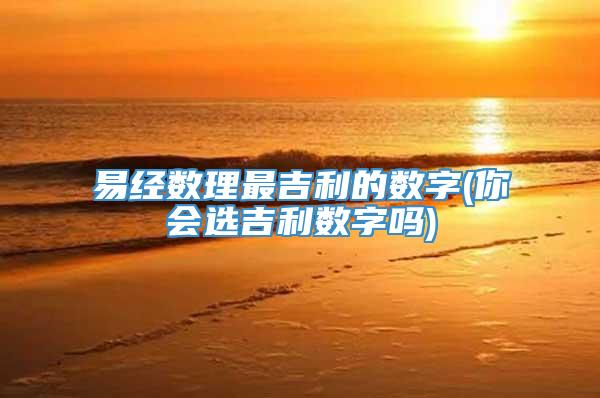 易经数理最吉利的数字(你会选吉利数字吗)