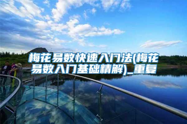 梅花易数快速入门法(梅花易数入门基础精解)_重复