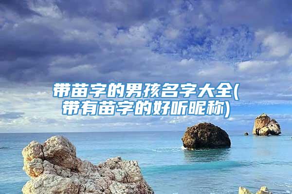 带苗字的男孩名字大全(带有苗字的好听昵称)