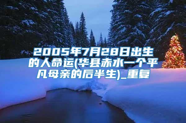 2005年7月28日出生的人命运(华县赤水一个平凡母亲的后半生)_重复