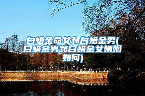 白蜡金命女和白蜡金男(白蜡金男和白蜡金女婚姻如何)