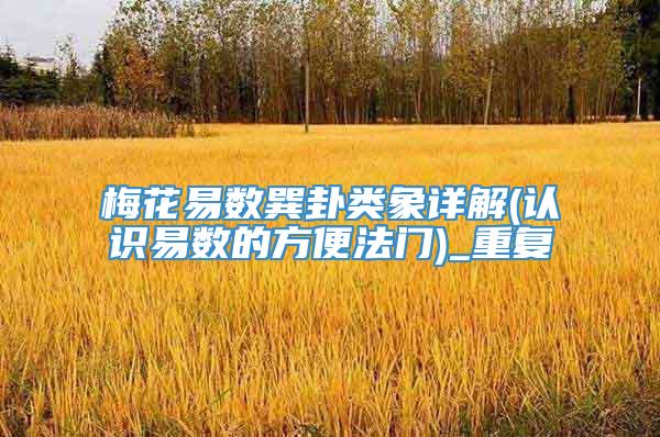 梅花易数巽卦类象详解(认识易数的方便法门)_重复