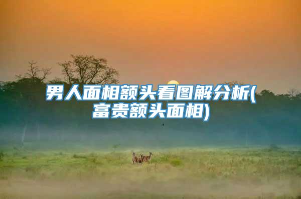 男人面相额头看图解分析(富贵额头面相)